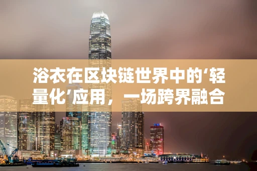 浴衣在区块链世界中的‘轻量化’应用，一场跨界融合的设想？