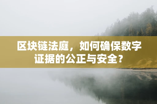 区块链法庭，如何确保数字证据的公正与安全？