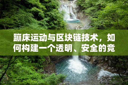 蹦床运动与区块链技术，如何构建一个透明、安全的竞技平台？