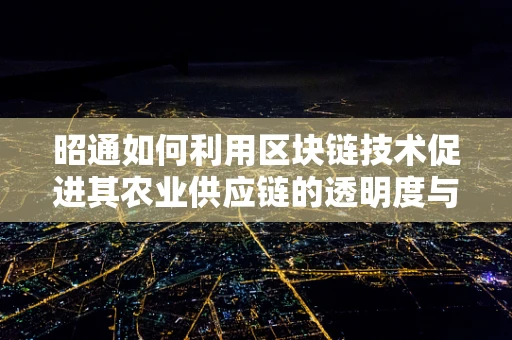 昭通如何利用区块链技术促进其农业供应链的透明度与效率？