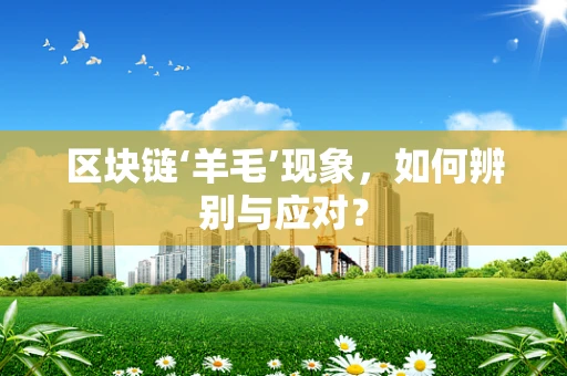 区块链‘羊毛’现象，如何辨别与应对？