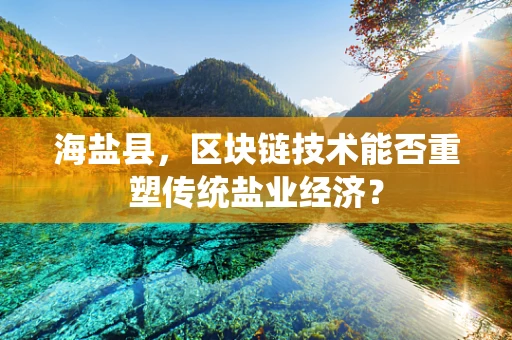 海盐县，区块链技术能否重塑传统盐业经济？