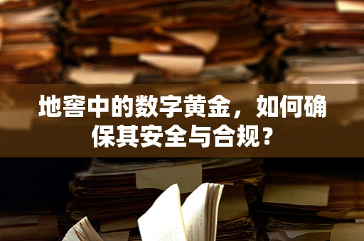 地窖中的数字黄金，如何确保其安全与合规？