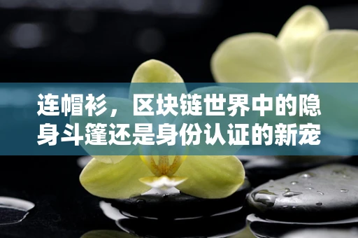 连帽衫，区块链世界中的隐身斗篷还是身份认证的新宠？