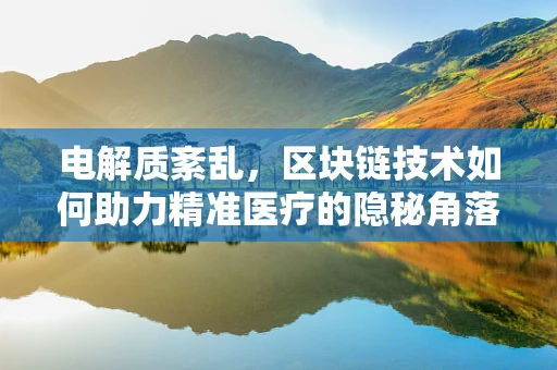 电解质紊乱，区块链技术如何助力精准医疗的隐秘角落？