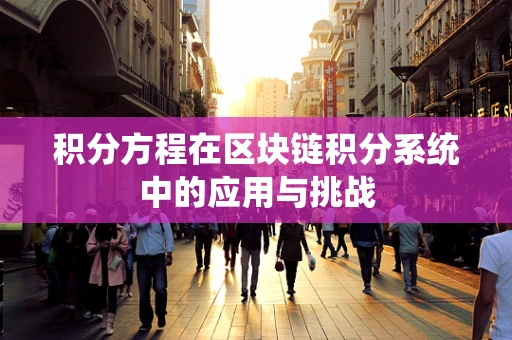 积分方程在区块链积分系统中的应用与挑战