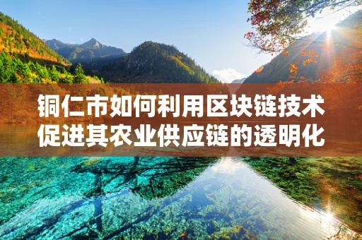 铜仁市如何利用区块链技术促进其农业供应链的透明化与效率？