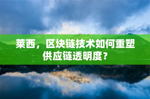 莱西，区块链技术如何重塑供应链透明度？
