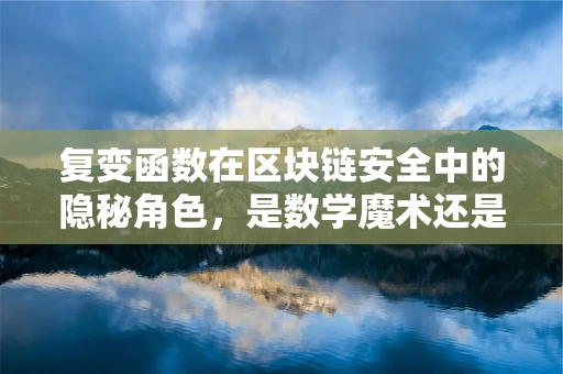 复变函数在区块链安全中的隐秘角色，是数学魔术还是技术革新？