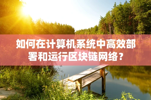 如何在计算机系统中高效部署和运行区块链网络？