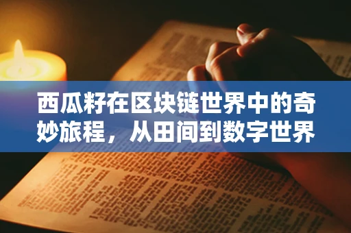 西瓜籽在区块链世界中的奇妙旅程，从田间到数字世界的蜕变？