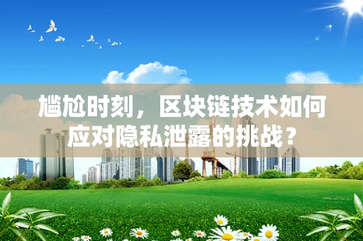 尴尬时刻，区块链技术如何应对隐私泄露的挑战？