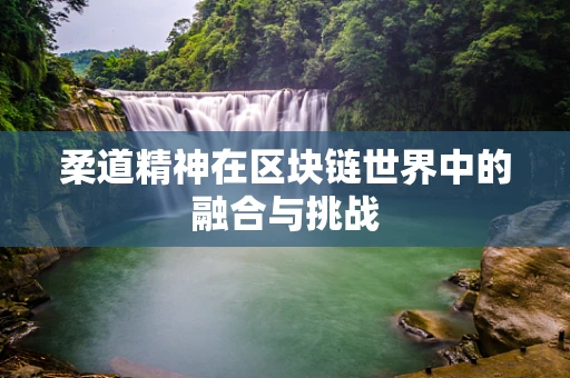 柔道精神在区块链世界中的融合与挑战