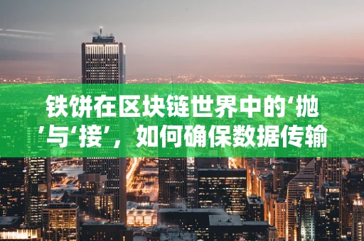 铁饼在区块链世界中的‘抛’与‘接’，如何确保数据传输的透明与安全？