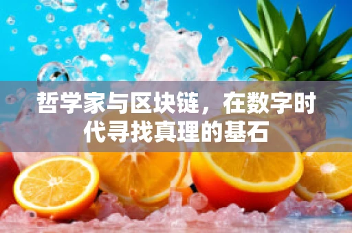 哲学家与区块链，在数字时代寻找真理的基石