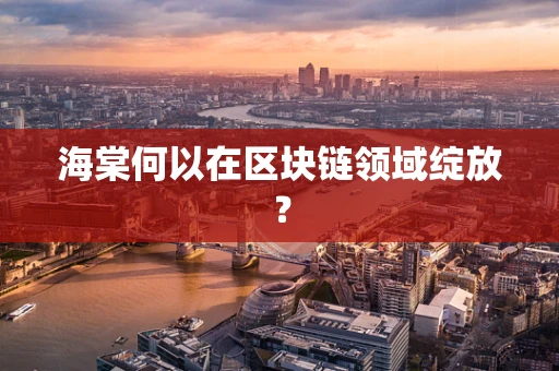 海棠何以在区块链领域绽放？