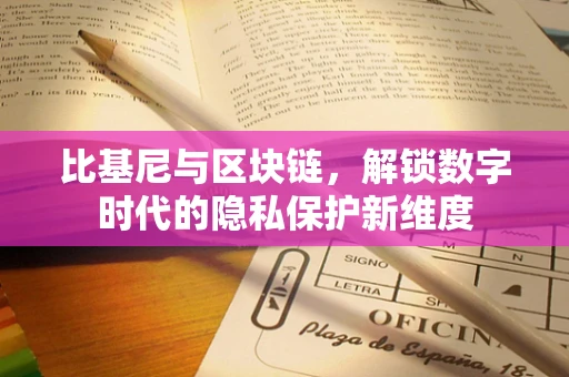 比基尼与区块链，解锁数字时代的隐私保护新维度
