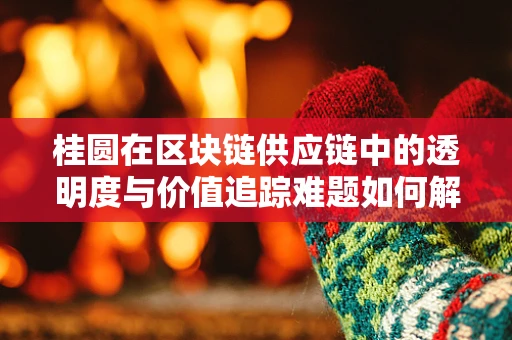 桂圆在区块链供应链中的透明度与价值追踪难题如何解决？