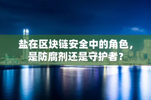 盐在区块链安全中的角色，是防腐剂还是守护者？