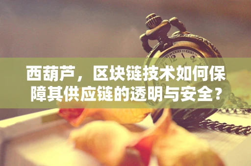 西葫芦，区块链技术如何保障其供应链的透明与安全？