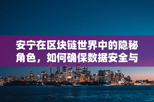 安宁在区块链世界中的隐秘角色，如何确保数据安全与隐私？