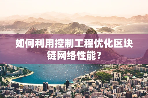 如何利用控制工程优化区块链网络性能？