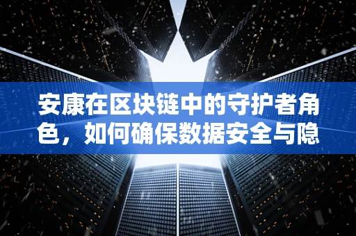 安康在区块链中的守护者角色，如何确保数据安全与隐私？