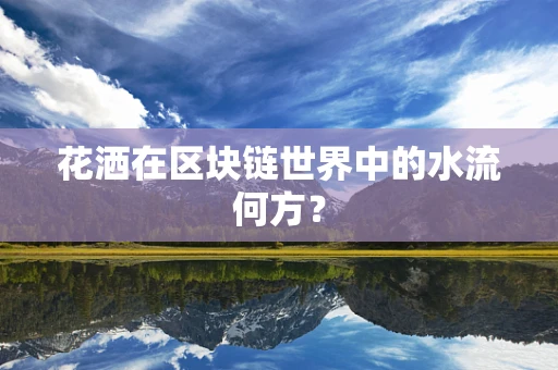 花洒在区块链世界中的水流何方？
