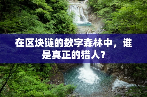 在区块链的数字森林中，谁是真正的猎人？
