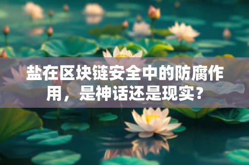 盐在区块链安全中的防腐作用，是神话还是现实？