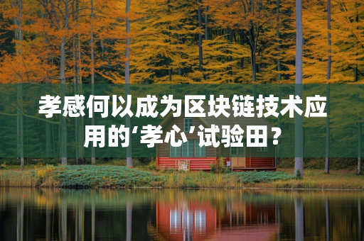 孝感何以成为区块链技术应用的‘孝心’试验田？