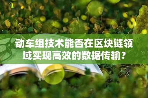 动车组技术能否在区块链领域实现高效的数据传输？