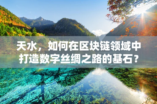 天水，如何在区块链领域中打造数字丝绸之路的基石？
