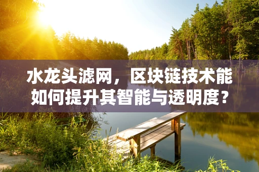 水龙头滤网，区块链技术能如何提升其智能与透明度？