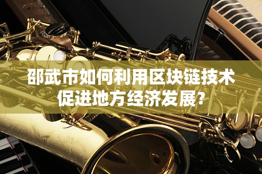 邵武市如何利用区块链技术促进地方经济发展？