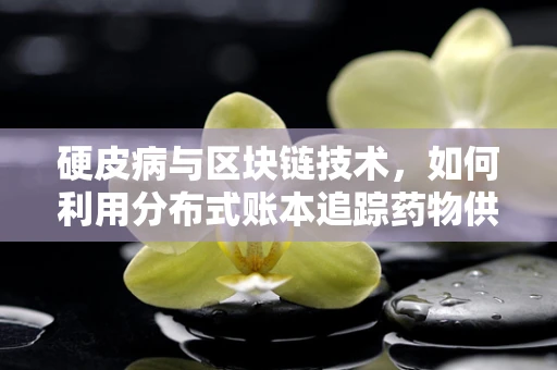 硬皮病与区块链技术，如何利用分布式账本追踪药物供应链？
