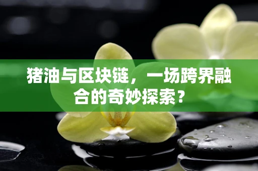 猪油与区块链，一场跨界融合的奇妙探索？