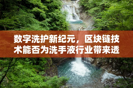 数字洗护新纪元，区块链技术能否为洗手液行业带来透明与安全？