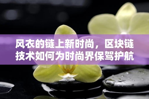 风衣的链上新时尚，区块链技术如何为时尚界保驾护航？