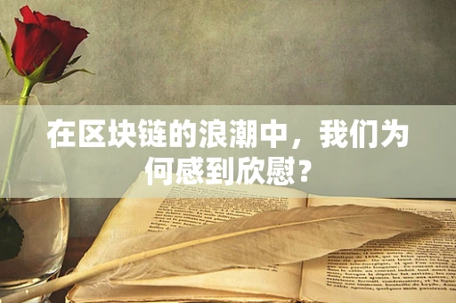 在区块链的浪潮中，我们为何感到欣慰？