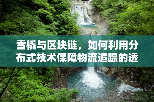 雪橇与区块链，如何利用分布式技术保障物流追踪的透明性？