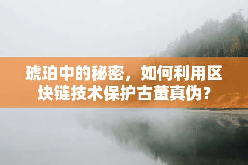 琥珀中的秘密，如何利用区块链技术保护古董真伪？