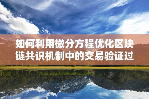 如何利用微分方程优化区块链共识机制中的交易验证过程？