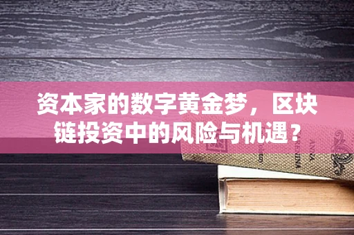 资本家的数字黄金梦，区块链投资中的风险与机遇？