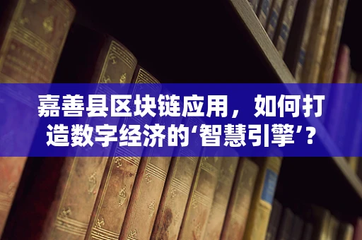 嘉善县区块链应用，如何打造数字经济的‘智慧引擎’？