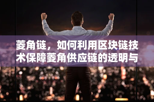 菱角链，如何利用区块链技术保障菱角供应链的透明与安全？