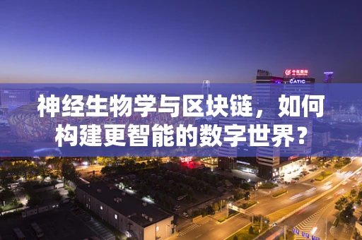 神经生物学与区块链，如何构建更智能的数字世界？