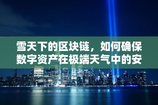 雪天下的区块链，如何确保数字资产在极端天气中的安全？