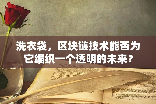 洗衣袋，区块链技术能否为它编织一个透明的未来？