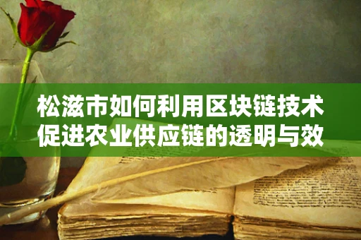 松滋市如何利用区块链技术促进农业供应链的透明与效率？
